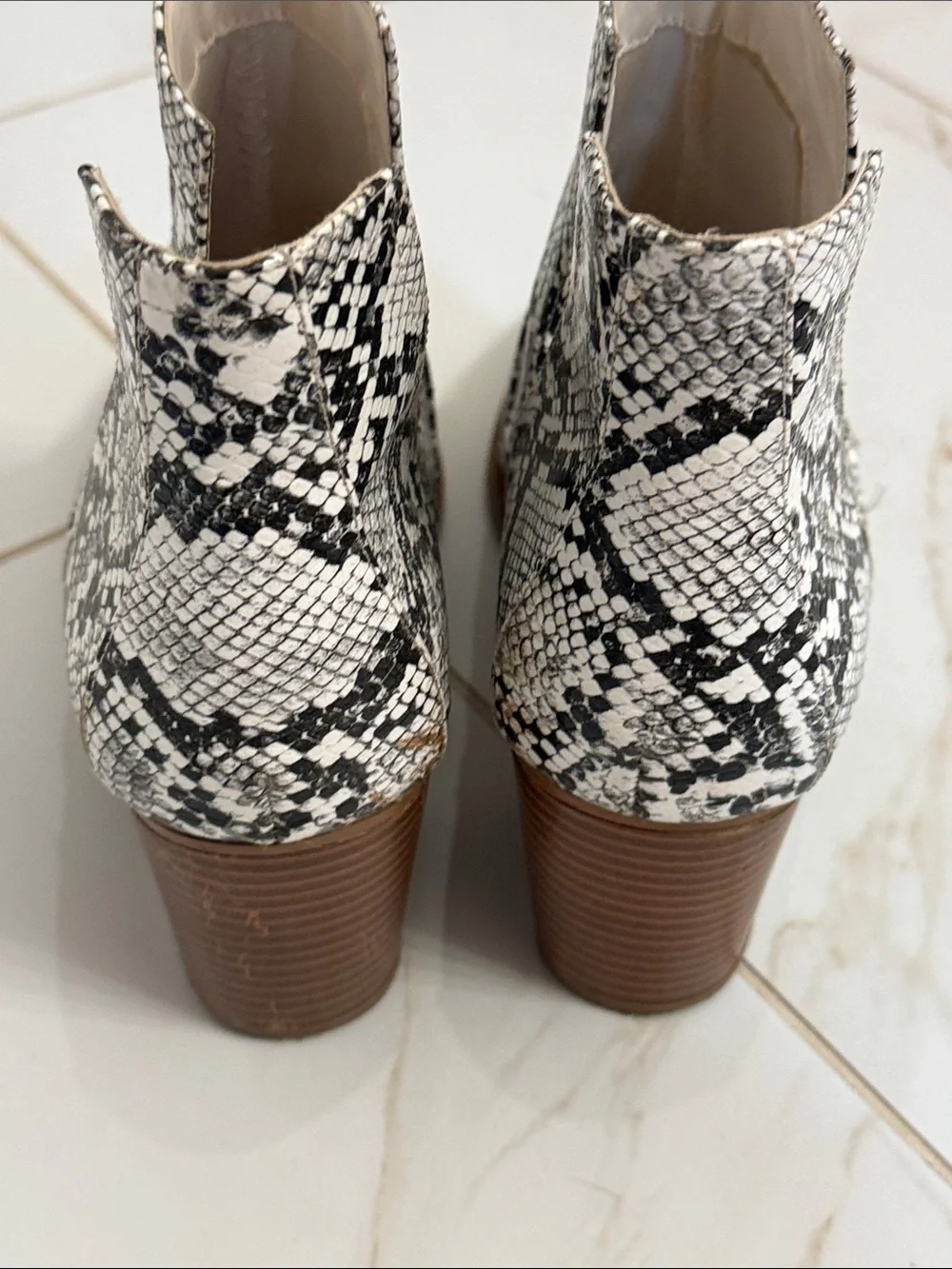 Zby fashion forward